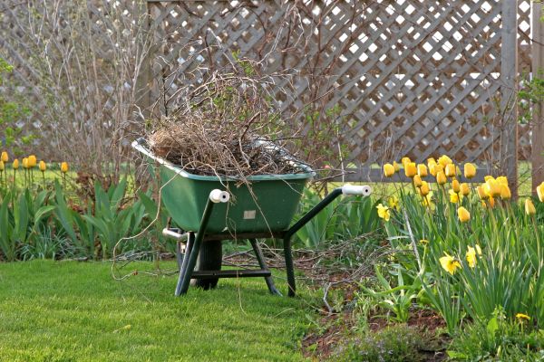 Flower Bed Cleanup Service in Parker