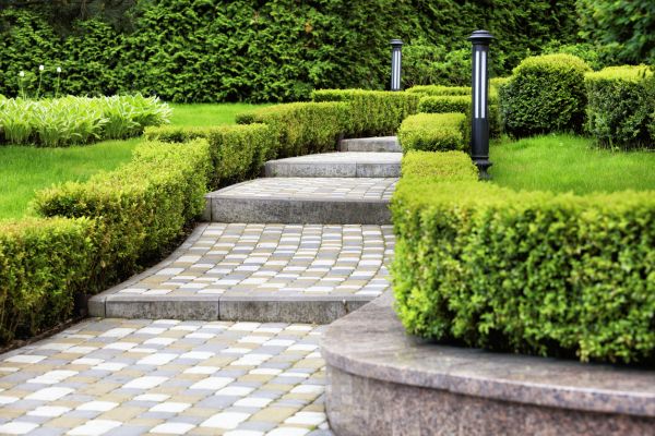 Backyard Remodeling in Parker