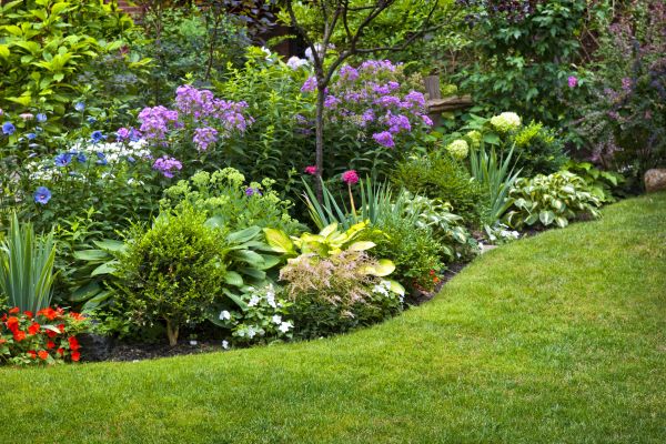 Flower Bed Service in Parker