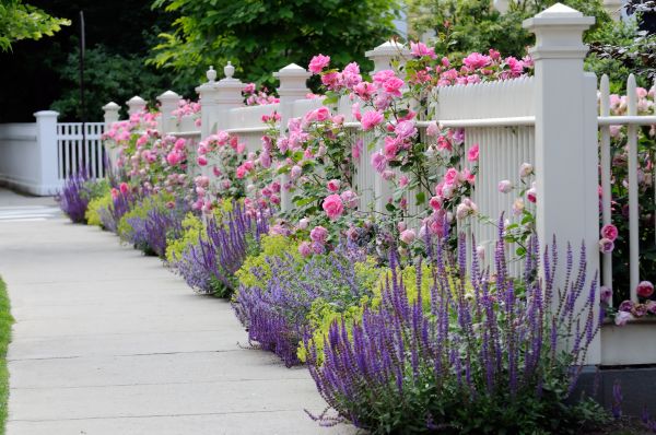 Garden Handyman Service in Parker