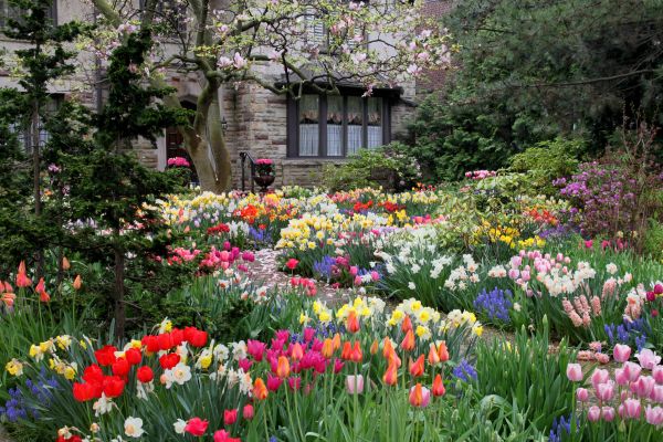 Garden Maintenance Service in Parker