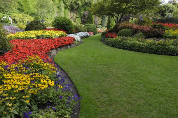 Landscaping Maintenance in Parker