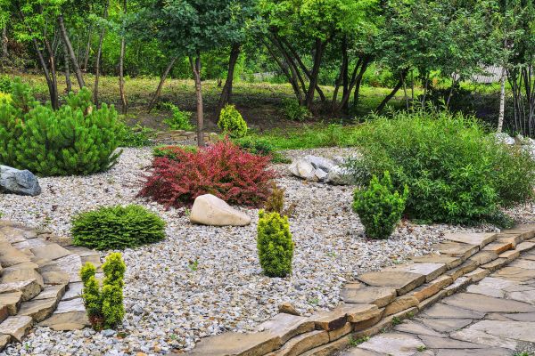 Rock Landscaping in Parker