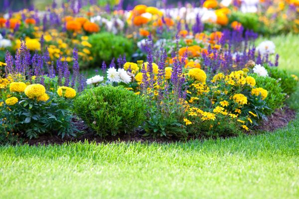 Garden Installation in Parker