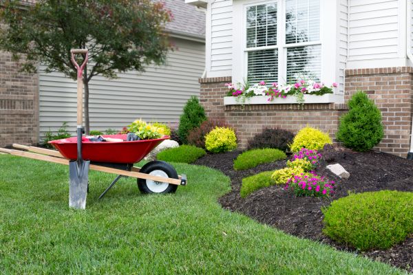 Landscape Maintenance Service in Parker