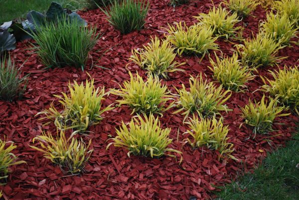 Mulch Landscaping in Parker