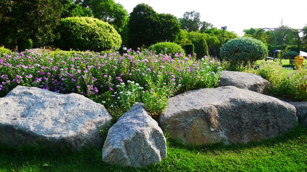 Boulder Landscaping in Parker