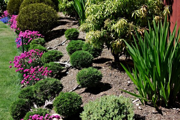 Residential Gardening in Parker