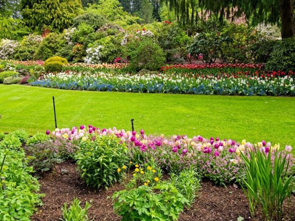 Residential Landscape Design in Parker