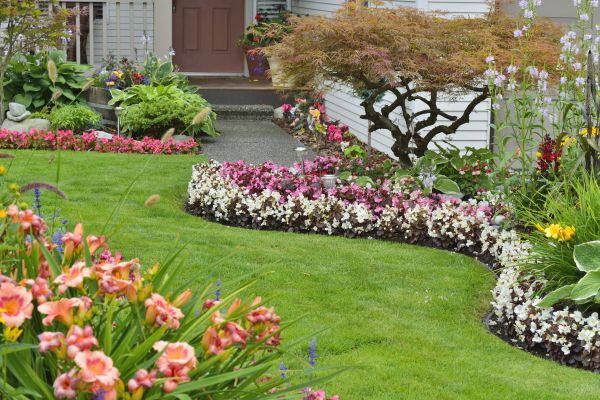 Perennial Landscaping in Parker