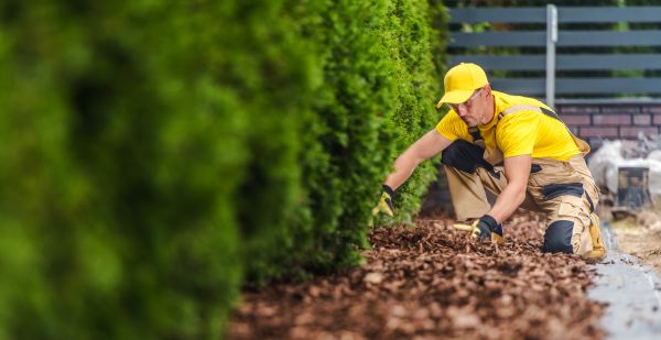 Cypress Mulch Installation in Parker