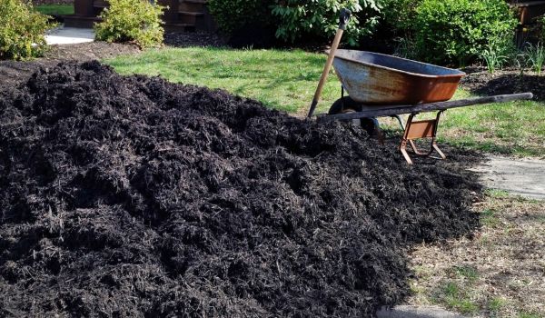 Black Mulch Installation in Parker