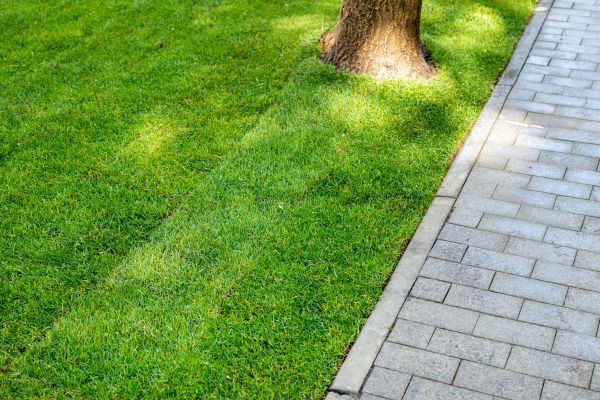 Border Stone Installation in Parker