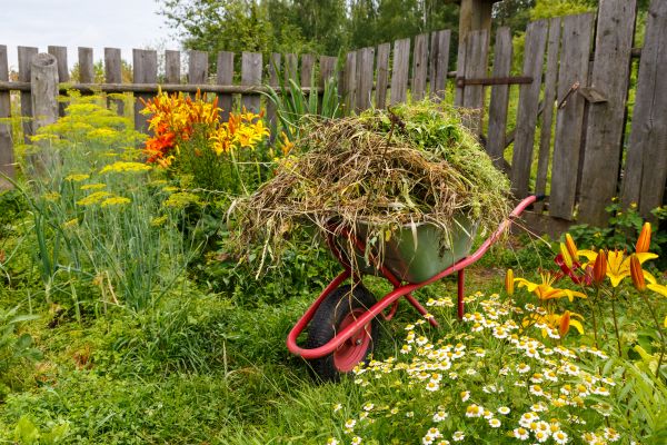 Garden Cleanup Service in Parker