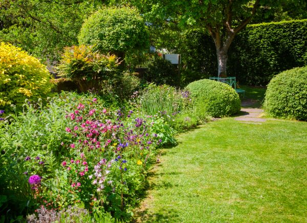 Yard Landscaping Service in Parker