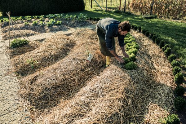Straw Mulching Service in Parker