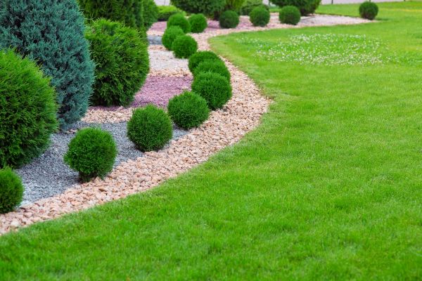 Edging Stones Installation in Parker