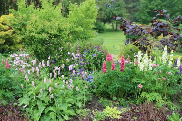 Flower Bed Planting in Parker