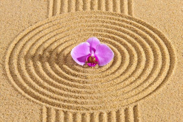 Sand Garden Landscaping in Parker