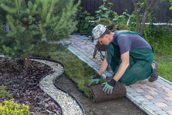 Landscaping Modification in Parker