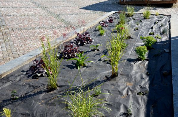 Landscape Fabric Installation in Parker