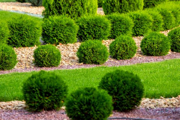 Bush Installation in Parker