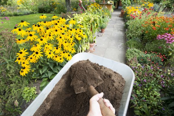 Topsoil Replacement in Parker