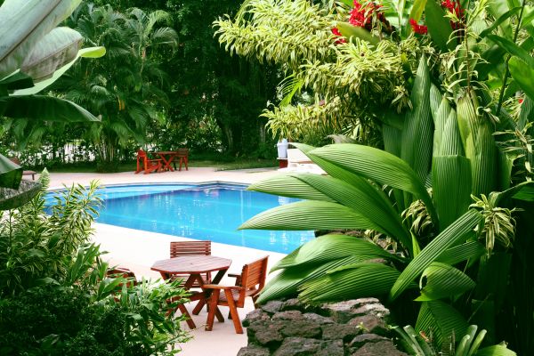 Pool Area Landscaping in Parker