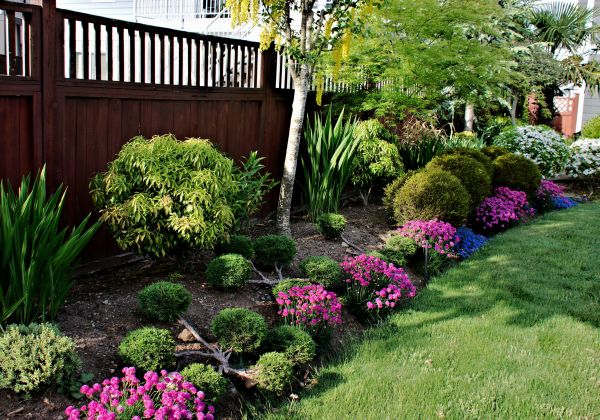 Garden Bed Construction in Parker