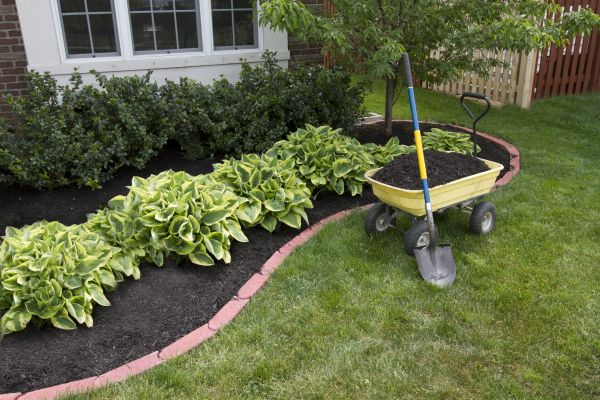 Landscape Mulching in Parker