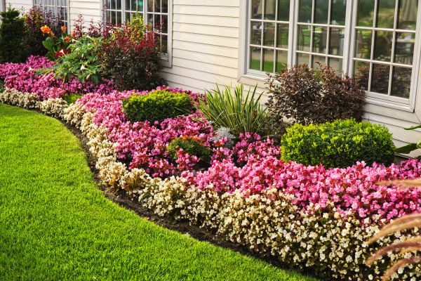 House Landscaping in Parker