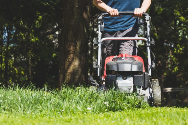 Garden Trimming Service in Parker