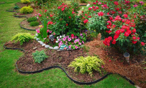 Floral Landscaping in Parker