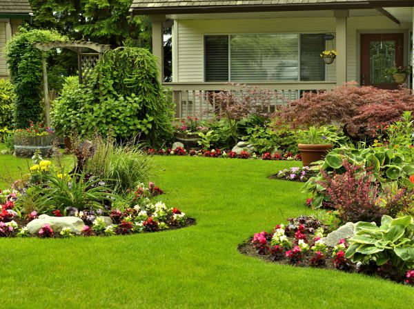 Flower Garden Planting in Parker