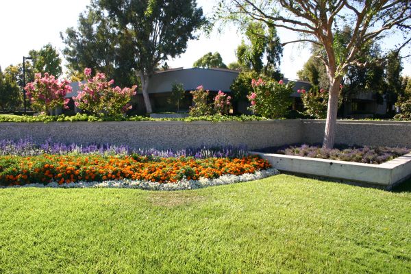 Commercial Landscape Service in Parker