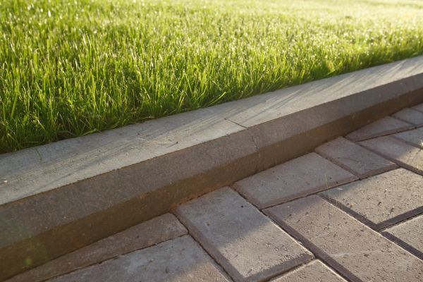 Lawn Edging Replacement in Parker