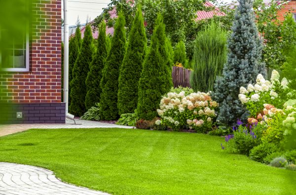 Spring Landscaping in Parker
