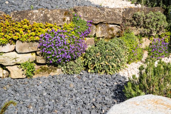 Landscaping Rocks Installation in Parker