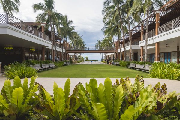 Commercial Lawn Renovation in Parker