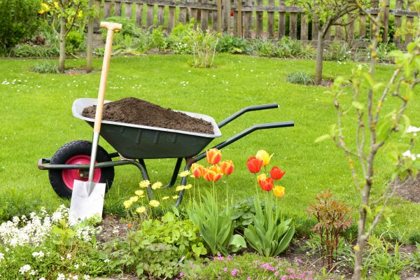 Spring Yard Renovation in Parker