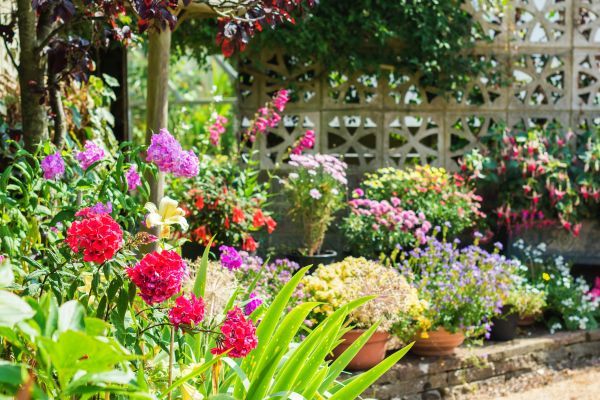 Spring Garden Maintenance in Parker