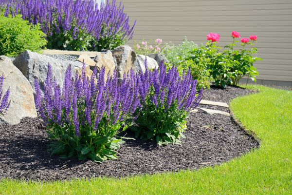 Landscape Planting Service in Parker