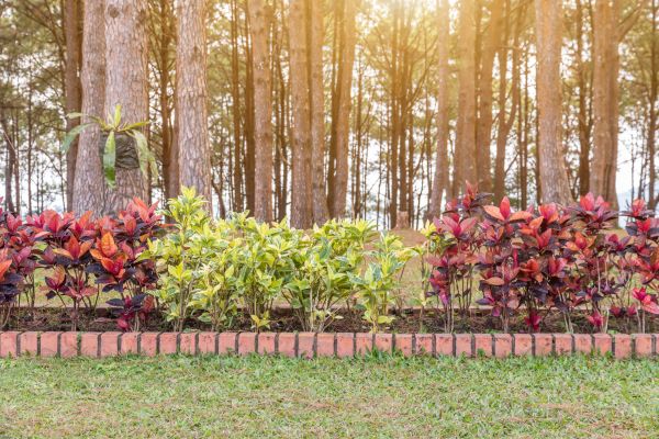 Small Garden Landscaping in Parker