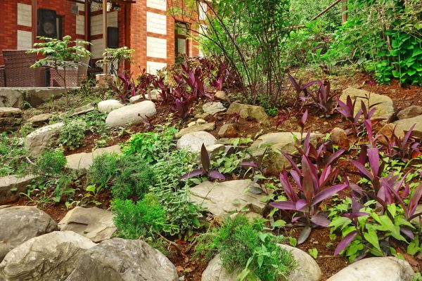 Rock Garden Landscaping in Parker