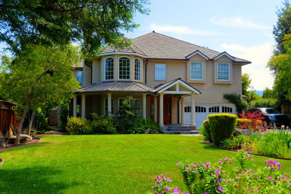 Large Yard Landscaping in Parker