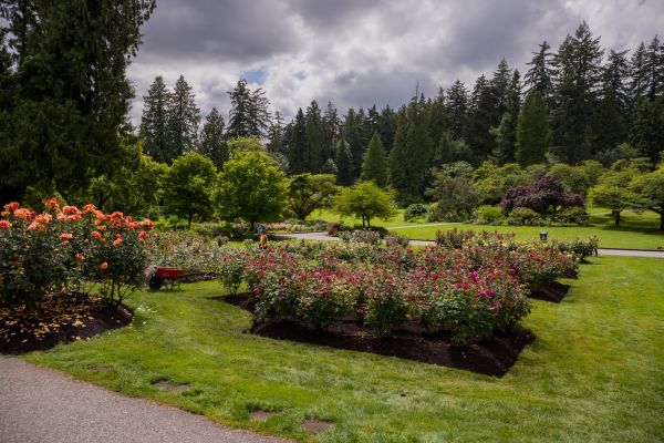 Flower Garden Landscaping in Parker