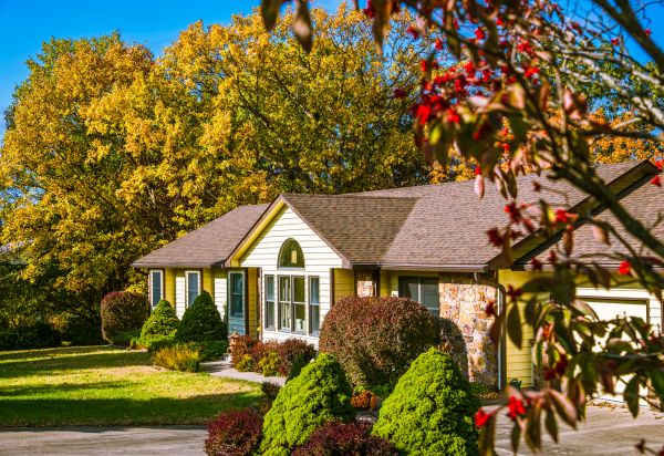 Ranch Landscaping in Parker