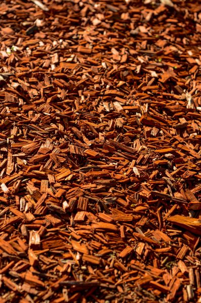 Cedar Mulch Spreading in Parker