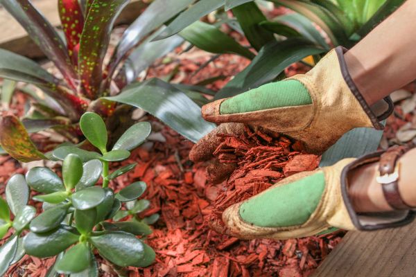 Residential Mulching in Parker