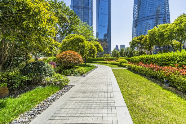 Commercial Landscaping in Parker